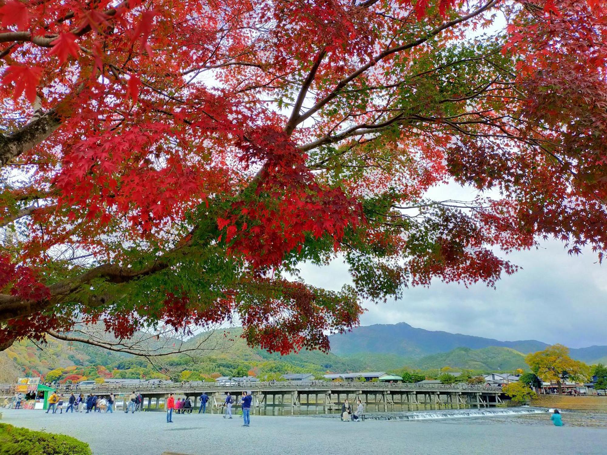 Kadensho, Arashiyama Onsen, Kyoto - Kyoritsu Resort Buitenkant foto